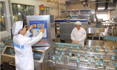 Một cuộc đua khốc liệt nắm giữ cổ phiếu sau khi Nhà nước thoái vốn đang diễn ra