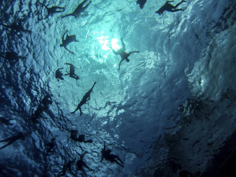 Thủy thủ trên tàu USS Halsey, khu trục hạm tên lửa lớp Arleigh Burke, bơi lội trên biển Philippines.