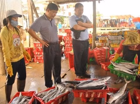 Trương lái Trung Quốc đến tận nơi thu mua cá Việt Nam