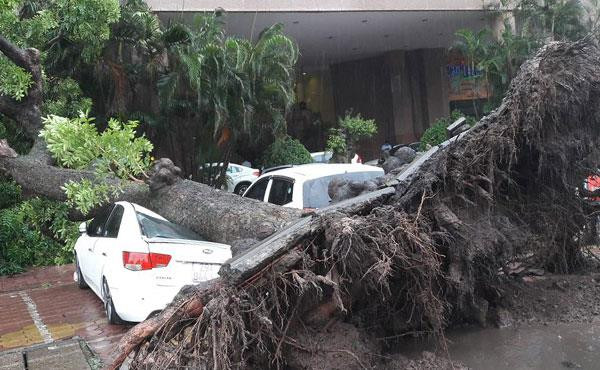 Bão đi vào đất liền, Hà Nội mưa lớn, gió giật cấp 9 ảnh 1 Bão đi vào đất liền, Hà Nội mưa lớn, gió giật cấp 9 ảnh 1