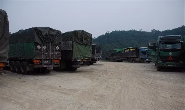 Bãi đậu xe của Cty TNHH Minh Đức chật cứng xe chở gạo nằm chờ