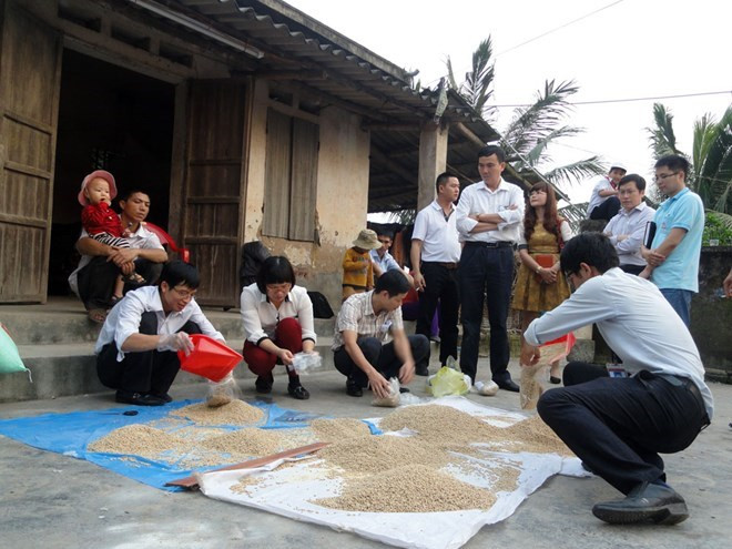 Đoàn thanh tra Sở Nông nghiệp và PTNT tiến hành lấy mẫu cám đi phân tích chất lượng.