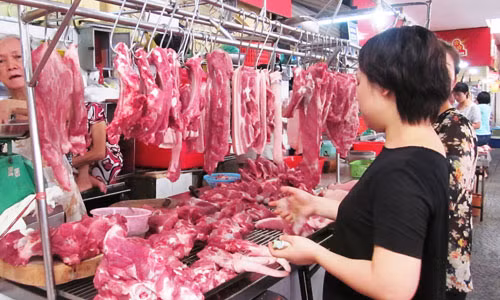 Các nhà sản xuất và xuất khẩu thịt Ba Lan không ngại thói quen dùng thịt tươi (không qua đông lạnh) của người tiêu dùng Việt Nam vì họ nhắm đến nhóm khách hàng là các nhà chế biến thực phẩm từ thịt. 