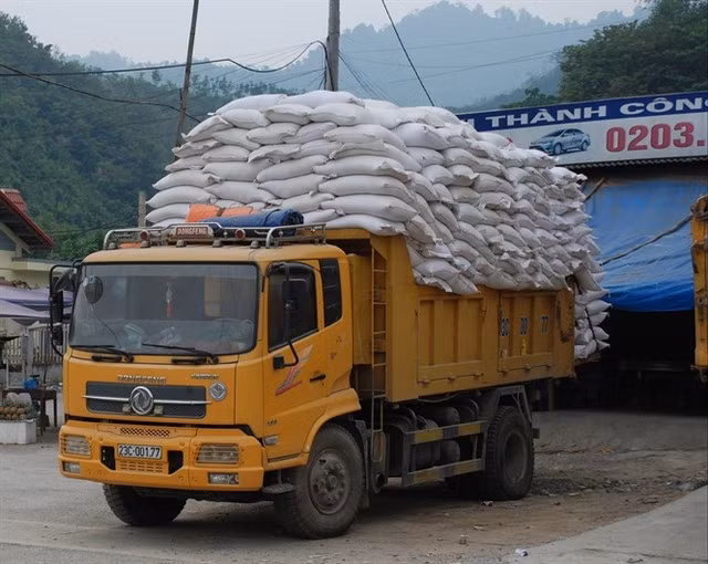 Một xe chở gạo chuẩn bị về kho chứa