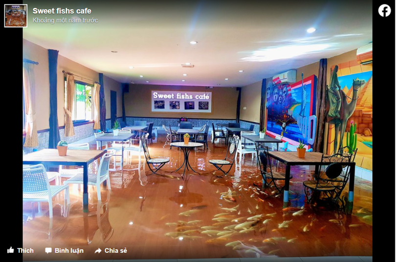 Sweet Fishs Café thu hút được rất nhiều sự quan tâm đến từ khách du lịch (Ảnh: Facebook)