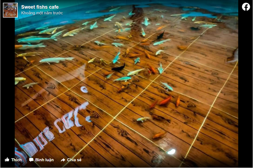 Sàn của quán cafe được làm giống như một bể cá (Ảnh: Facebook)
