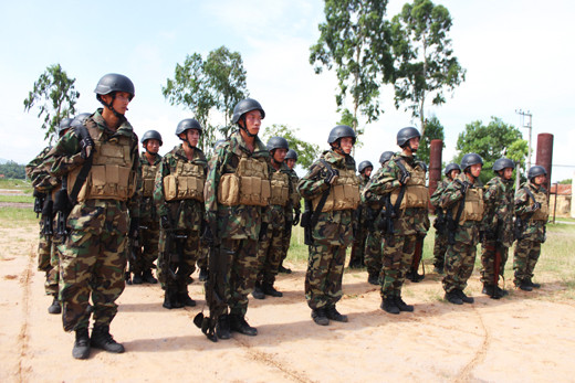 Việt Nam đang phát triển lực lượng hải quân. Bên cạnh những vũ khí, trang bị truyền thống nay đã có sự xuất hiện của các loại vũ khí, trang bị tân tiến mua, nhập hoặc sản xuất cùng với các đối tác phi truyền thống.