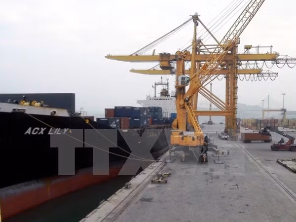 Vinalines sẽ phát hành cổ phiếu lần đầu ngay trong quý 1