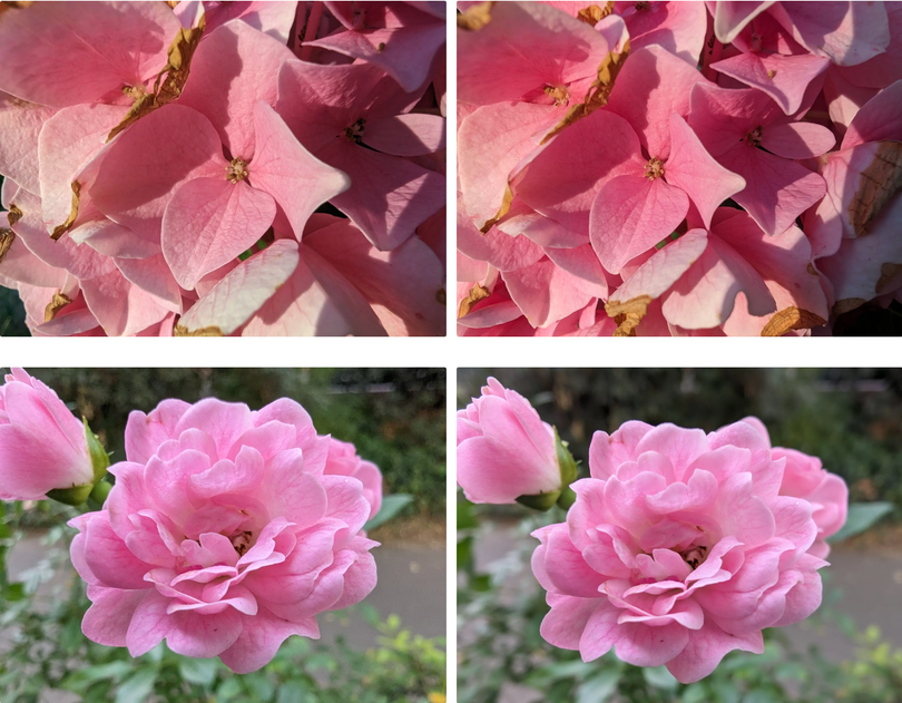 Camera Pixel 8 Pro 5.png