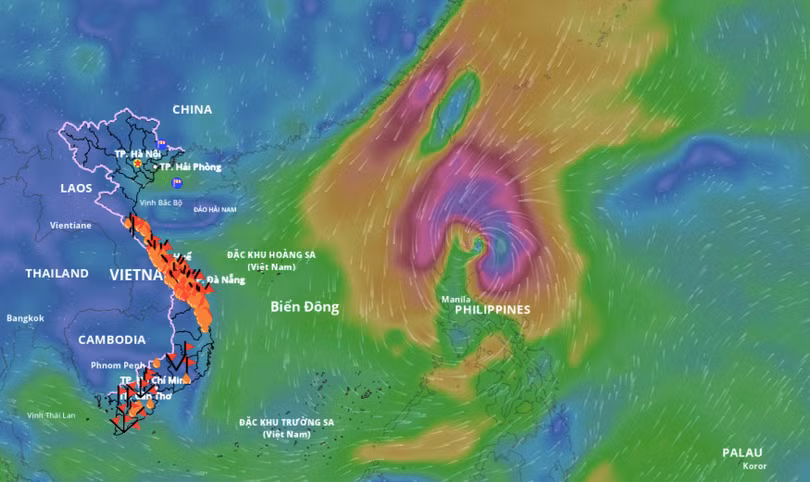 Ảnh chụp Màn hình 2025-11-02 lúc 19.14.22.png