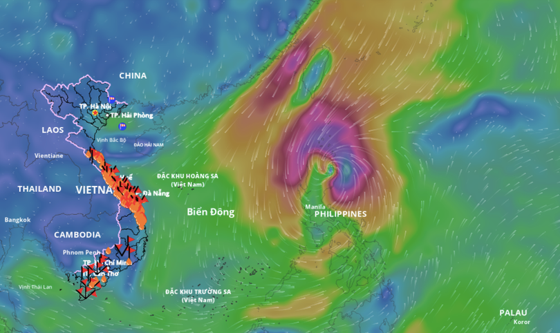 Ảnh chụp Màn hình 2025-11-02 lúc 19.14.22.png