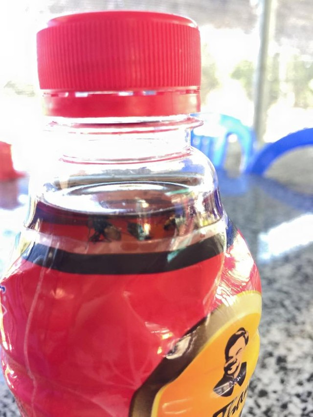 Sản phẩm mang nhãn hiệu của Dr Thanh có 3 con vật lạ, trong đó có 2 con ruồi và 1 con vật chưa xác định được chủng loại