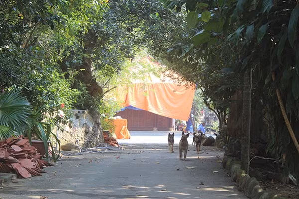 Qua giám sát, Q.Liên Chiểu thấy việc tháo dỡ của ông Quang chậm tiến độ. Qua giám sát, Q.Liên Chiểu thấy việc tháo dỡ của ông Quang chậm tiến độ.