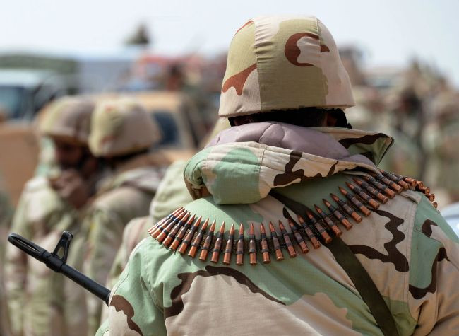 “Chim ưng sa mạc” sẵn sàng giải cứu Palmyra ảnh 10