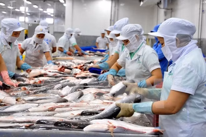 Chuyến đi cuối cùng của ông Bình đến An Giang với tư cách Thống đốc ảnh 1