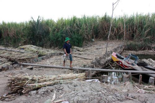 Đập thủy điện Trung Quốc xây trên sông Mekong: Hạ lưu “lãnh đủ” ảnh 1