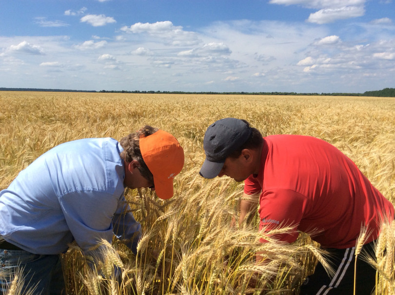 Nông dân Ucraine (ảnh minh họa).