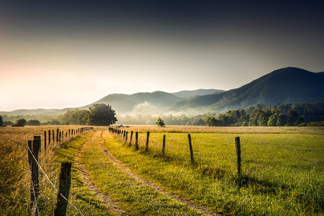 Câu chuyện nhiếp ảnh – Những điều đáng giá hơn ngàn con chữ ảnh 4