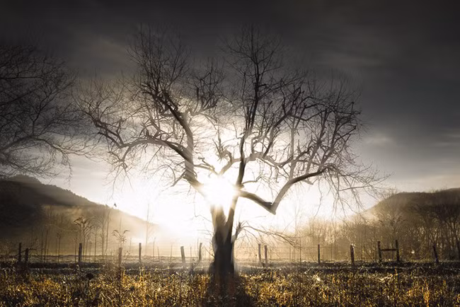 Câu chuyện nhiếp ảnh – Những điều đáng giá hơn ngàn con chữ ảnh 2