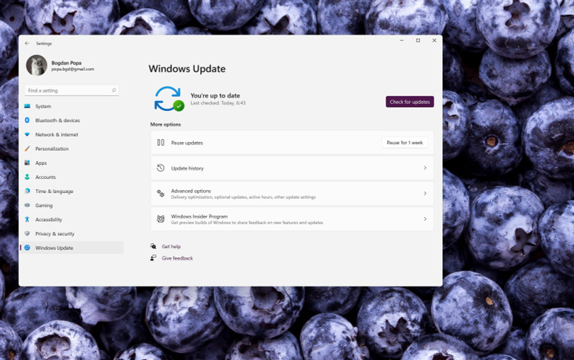 Bản cập nhật Windows 11 (Ảnh: Softpedia)