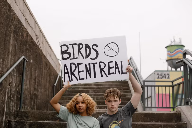 Những người tham gia biểu tình cho rằng những con chim đang bị chính phủ tiêu diệt và thay vào đó là những con chim robot với mục đích theo dõi người dân (Ảnh: News Week)