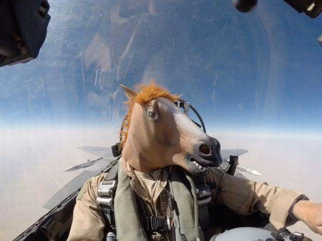 Cười ngất với 1001 kiểu “tự sướng” không giống ai ảnh 12