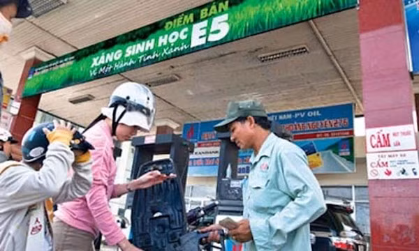 Chính phủ yêu cầu đẩy mạnh sử dụng xăng sinh học E5