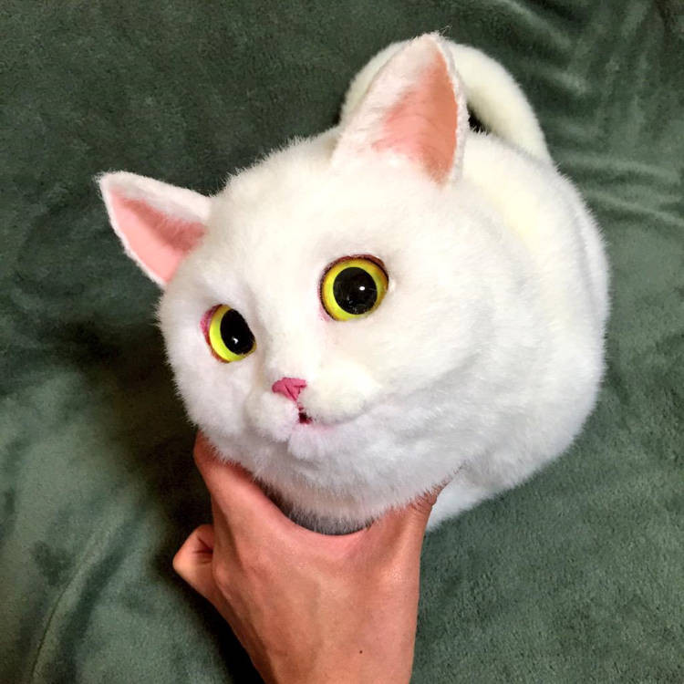 Túi xách hay là mèo? (Ảnh: picopoco08/Twitter)