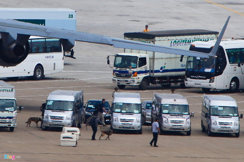 Sáng 22/5, những chú chó nghiệp vụ của Mỹ đã xuất hiện tại sân bay Tân Sơn Nhất, TP HCM.