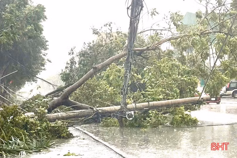 Nguyên nhân mất điện phần lớn do cây cối đổ vào đường dây điện. Ảnh: Báo Hà Tĩnh.