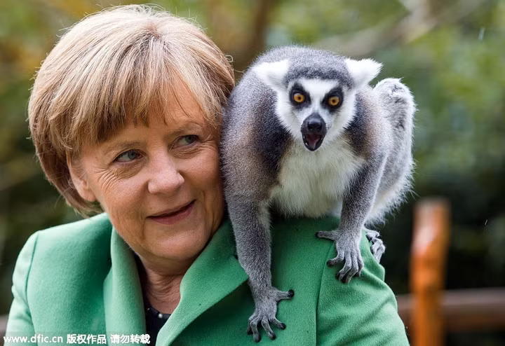 Obama làm đầu bếp, Kim Jong Un đáp chuyên cơ thị sát, bà Merkel chụp ảnh selfie ảnh 8