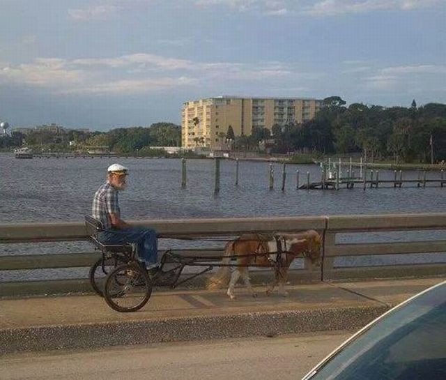 Xe hơi “bầu ngực thiếu nữ” và 1001 kiểu xe độc nhất vô nhị ảnh 2