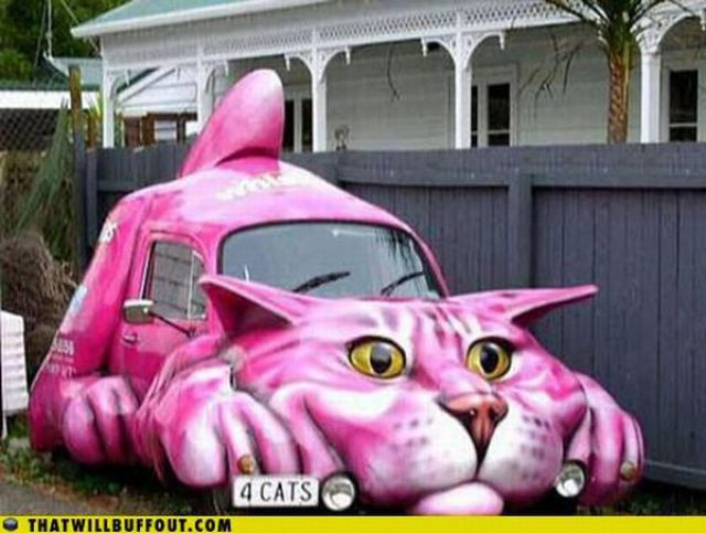 Xe hơi “bầu ngực thiếu nữ” và 1001 kiểu xe độc nhất vô nhị ảnh 8