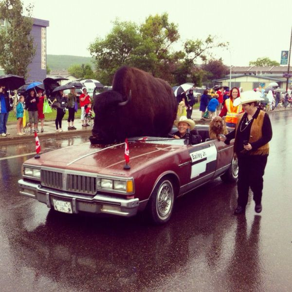 Xe hơi “bầu ngực thiếu nữ” và 1001 kiểu xe độc nhất vô nhị ảnh 4