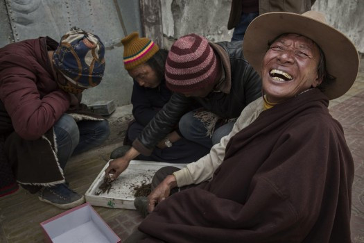 Tuy nhiên, các nhà hoạt động vì môi trường cảnh báo, việc khai thác đông trùng hạ thảo quá mức có thể dẫn đến xói mòn đất đồng cỏ ở sườn núi và ảnh hưởng tới chăn nuôi tại khu vực.