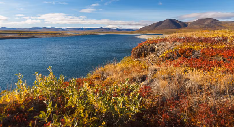 Dân Viễn Đông, Nga nộp hơn một ngàn đơn xin “Héc ta đất miễn phí”