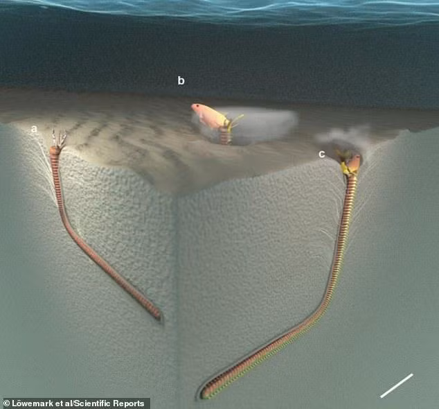 Cách loài sâu ăn thịt này săn mồi (Ảnh: Daily Mail)