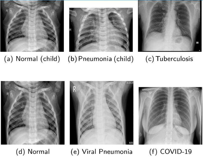 Các mẫu dữ liệu dùng để so sánh và chẩn đoán (Ảnh: IE)