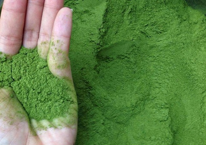 Tiếp theo là hương liệu, chiếm 20%. Để sản xuất 1.000 lít nước ngọt, các doanh nghiệp sẽ sử dụng 1 kg hương liệu. Tribeco tiết lộ, 95% doanh nghiệp sản xuất sử dụng hương liệu công nghiệp để sản xuất nước giải khát, bao gồm cà phê, trà xanh, trà đen, sen, nhài, bông cúc, các loại hương hoa quả... Nguồn:VietinbankSC. Tiếp theo là hương liệu, chiếm 20%. Để sản xuất 1.000 lít nước ngọt, các doanh nghiệp sẽ sử dụng 1 kg hương liệu. Tribeco tiết lộ, 95% doanh nghiệp sản xuất sử dụng hương liệu công nghiệp để sản xuất nước giải khát, bao gồm cà phê, trà xanh, trà đen, sen, nhài, bông cúc, các loại hương hoa quả... Nguồn:VietinbankSC.