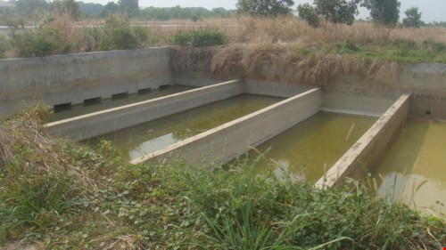 Người bắt cá trong sân bay Biên Hòa nhiễm dioxin cao gấp 200 lần ảnh 2