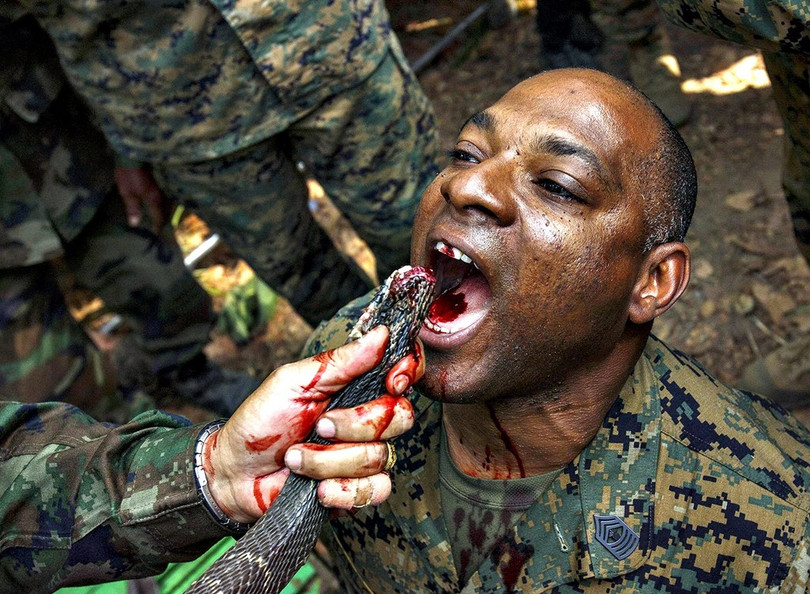 Một nội dung tập sinh tồn trong tập trận Hổ mang Vàng. Ảnh: AP