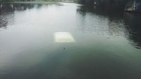 Clip nữ lái xe lùi xế hộp "tắm hồ" giữa trời lạnh 6 độ C ở Hà Nội ảnh 2