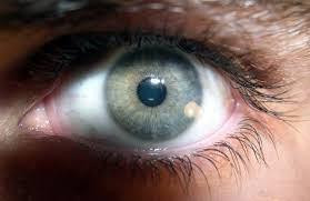 10 bộ phận trên cơ thể người có thể biến mất trong tương lai (Ảnh: Hack Spirit)