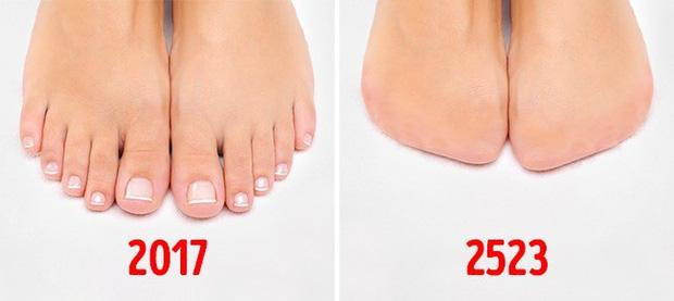 Ngón chân sẽ bị biến mất trong tương lai (Ảnh: Hack Spirit)