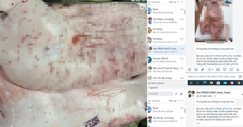 Sóc Trăng lập đoàn kiểm tra các điểm chăn nuôi, gồm C.P. Việt Nam sau tố cáo trên Facebook