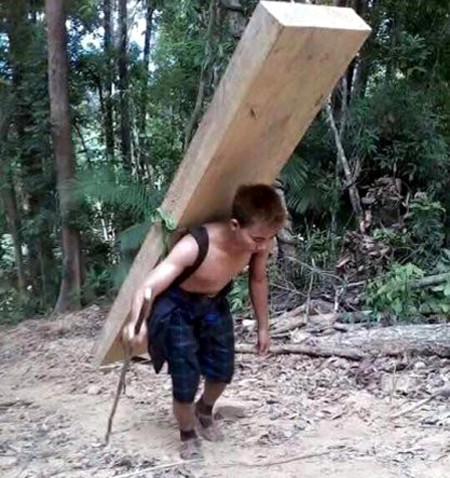 Quãng đường 6 km, mỗi phách gỗ được trả khoảng 250.000đồng tiền vận chuyển. Ảnh:Người dân cung cấp.