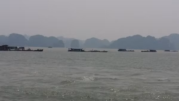 Vẩn tải than đường thủy ở Quảng Ninh