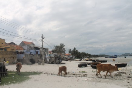 Một góc làng chài Bá Hà 1, nơi có nhiều người mưu sinh bằng nghề thợ lặn. Ảnh: N.BĂNG