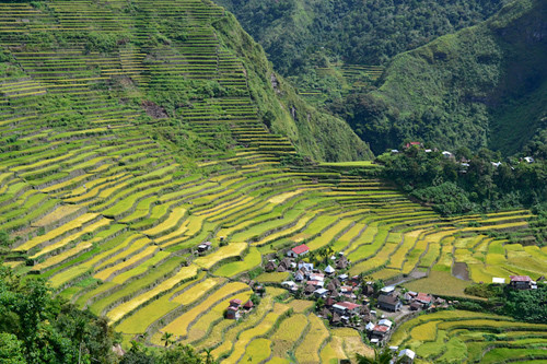 Hà Nội, Hội An vào top điểm đến không thể bỏ qua ảnh 8