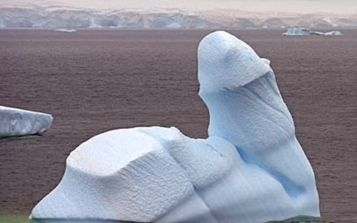 Trong một lần thám hiểm Nam Cực, nhiếp ảnh gia Andy Rouse đã chụp được một tảng băng mang hình dáng nhạy cảm của đàn ông nằm ở eo biểnBransfield, gần Nam Cực. Trong một lần thám hiểm Nam Cực, nhiếp ảnh gia Andy Rouse đã chụp được một tảng băng mang hình dáng nhạy cảm của đàn ông nằm ở eo biểnBransfield, gần Nam Cực.